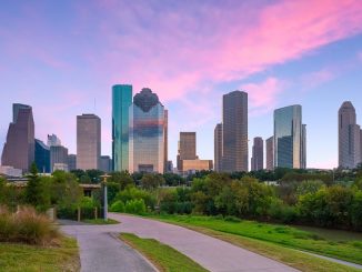 Best hair transplant clinics and doctors in Texas