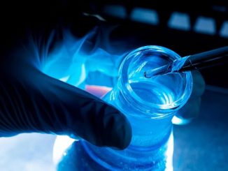 Stem Cell