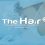 Hair Dr Clinics